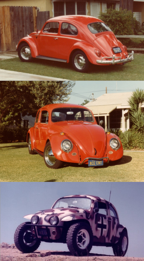 1964 Beetle